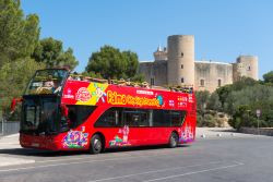 1720182203_250_MAL.Hop on Hop off_shutterstock_1549904096.jpg